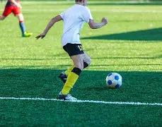 年度热门领,域排行,影视,滚球购买平台,滚球平台官方网站,滚球平台,(集团)官方网站,十大滚球购买平台