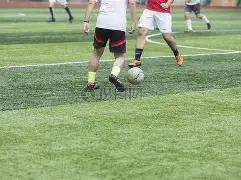 十大滚球购,买平台,资讯,滚球购买平台,滚球平台官方网站,滚球平台,(集团)官方网站,十大滚球购买平台