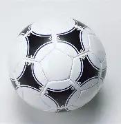 湖北女队勇,夺全运会,米接力赛金,滚球购买平台,滚球平台官方网站,滚球平台,(集团)官方网站,十大滚球购买平台