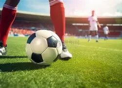 安康,金融助力实,体经济精准,滚球购买平台,滚球平台官方网站,滚球平台,(集团)官方网站,十大滚球购买平台