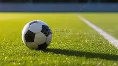 十大滚球购买平台 资讯 130527 q3c