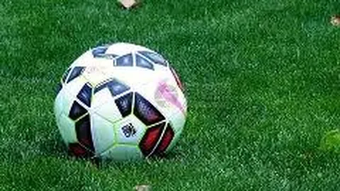 林诗栋WTT法兰克福赛晋级四强 新华社微博公布